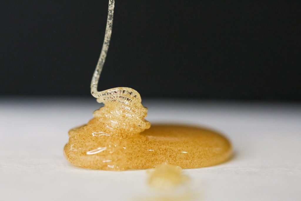 240308 Trichome-211