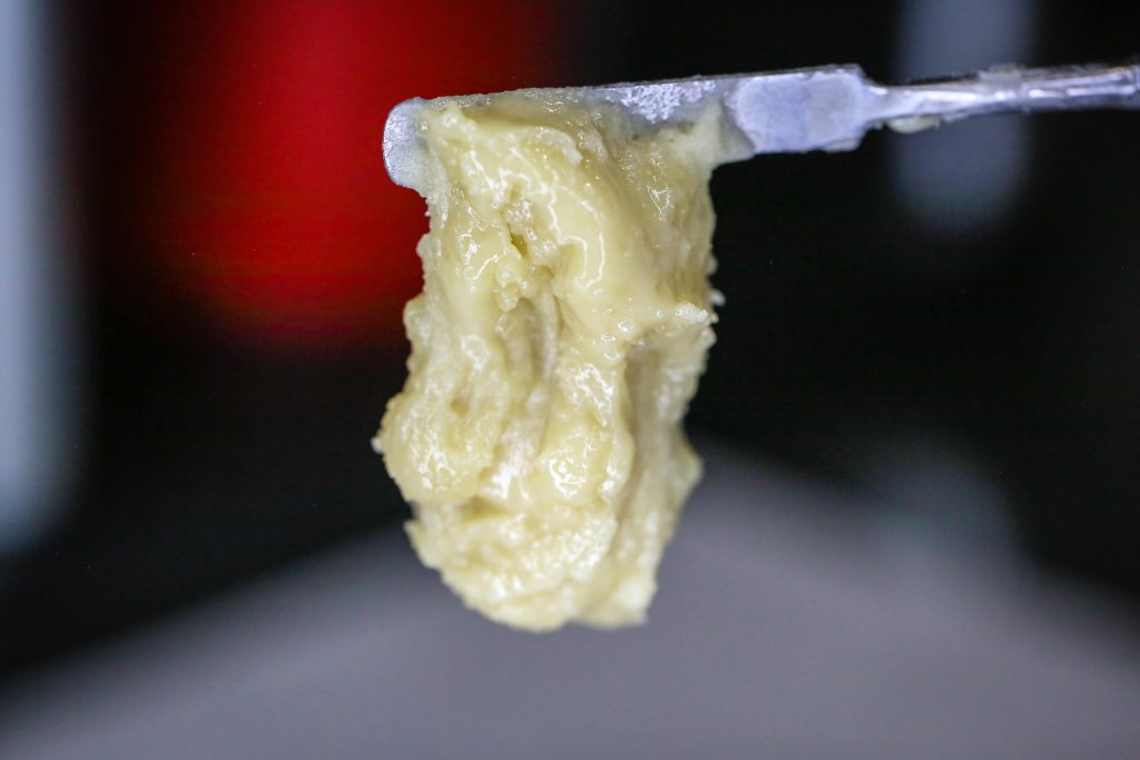 240308 Trichome-86